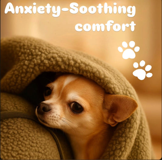 Snugsy™ Pet Pocket Hoodie